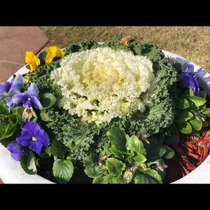 Meet your Posher, Sandhya